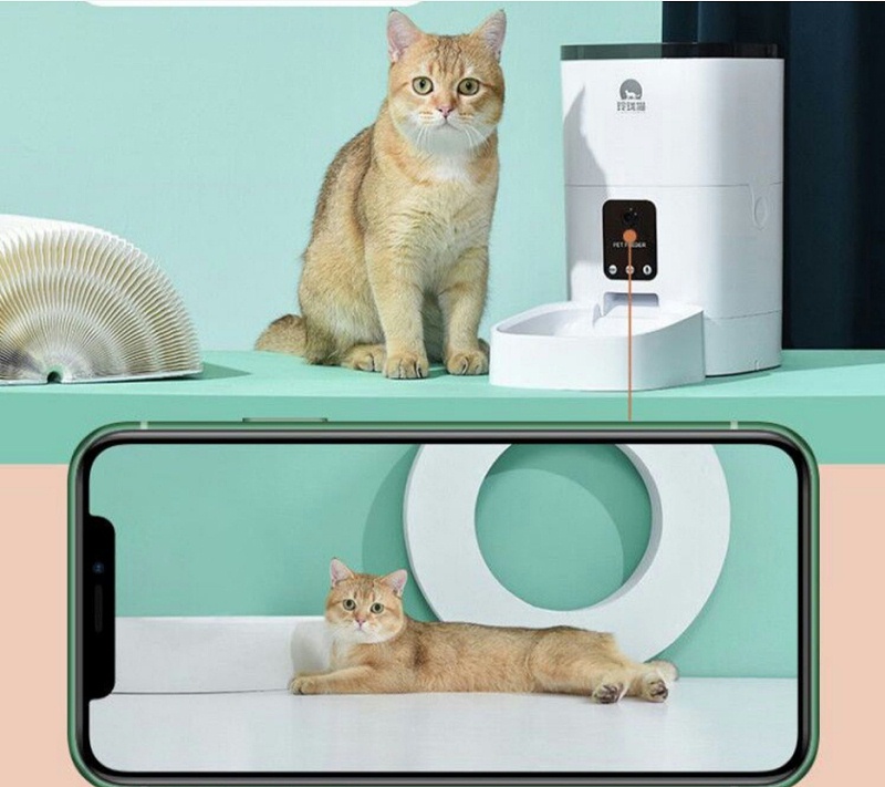 寵物自動喂食器